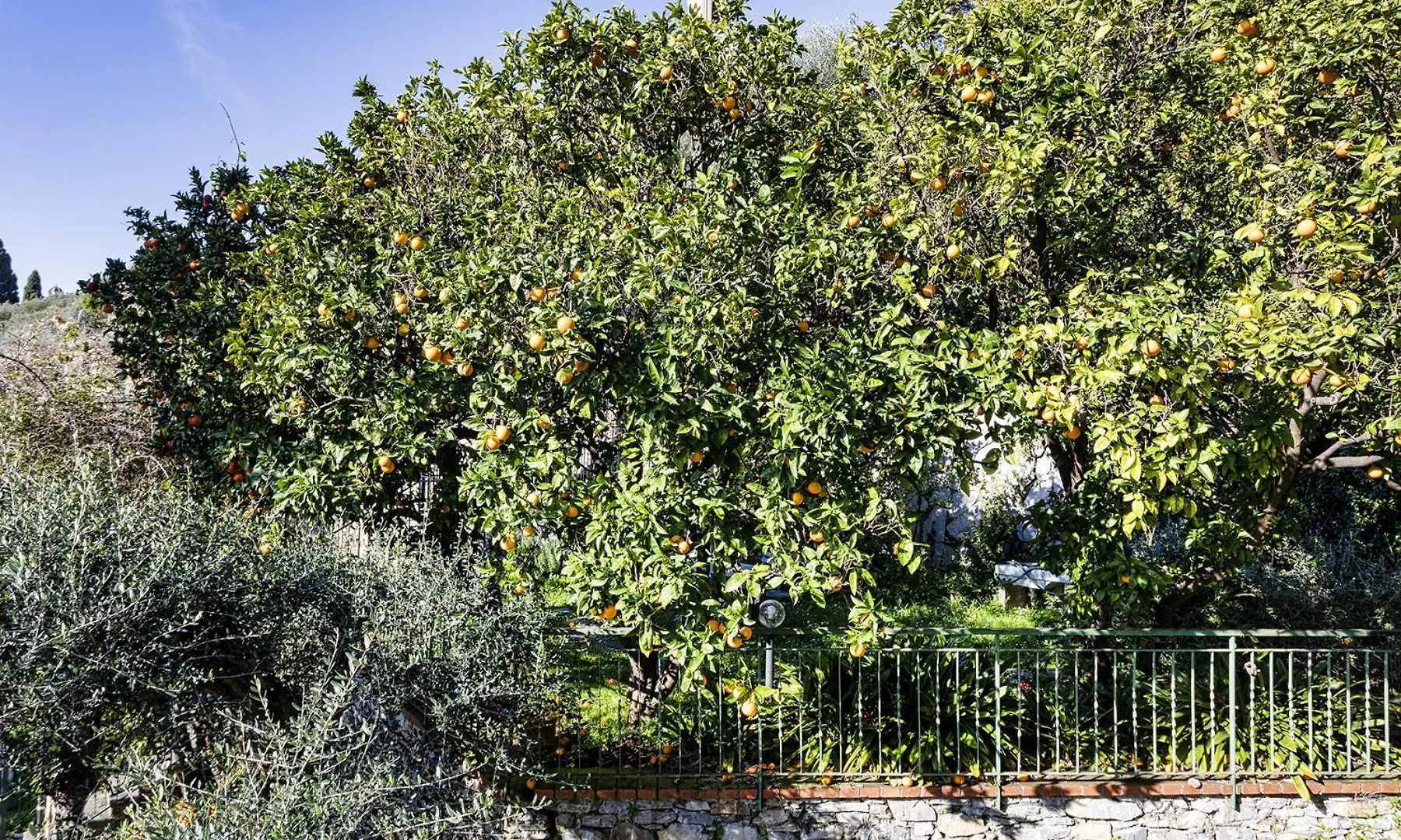 Seaview Apartment With Garden In Recco By Wonderful Italy